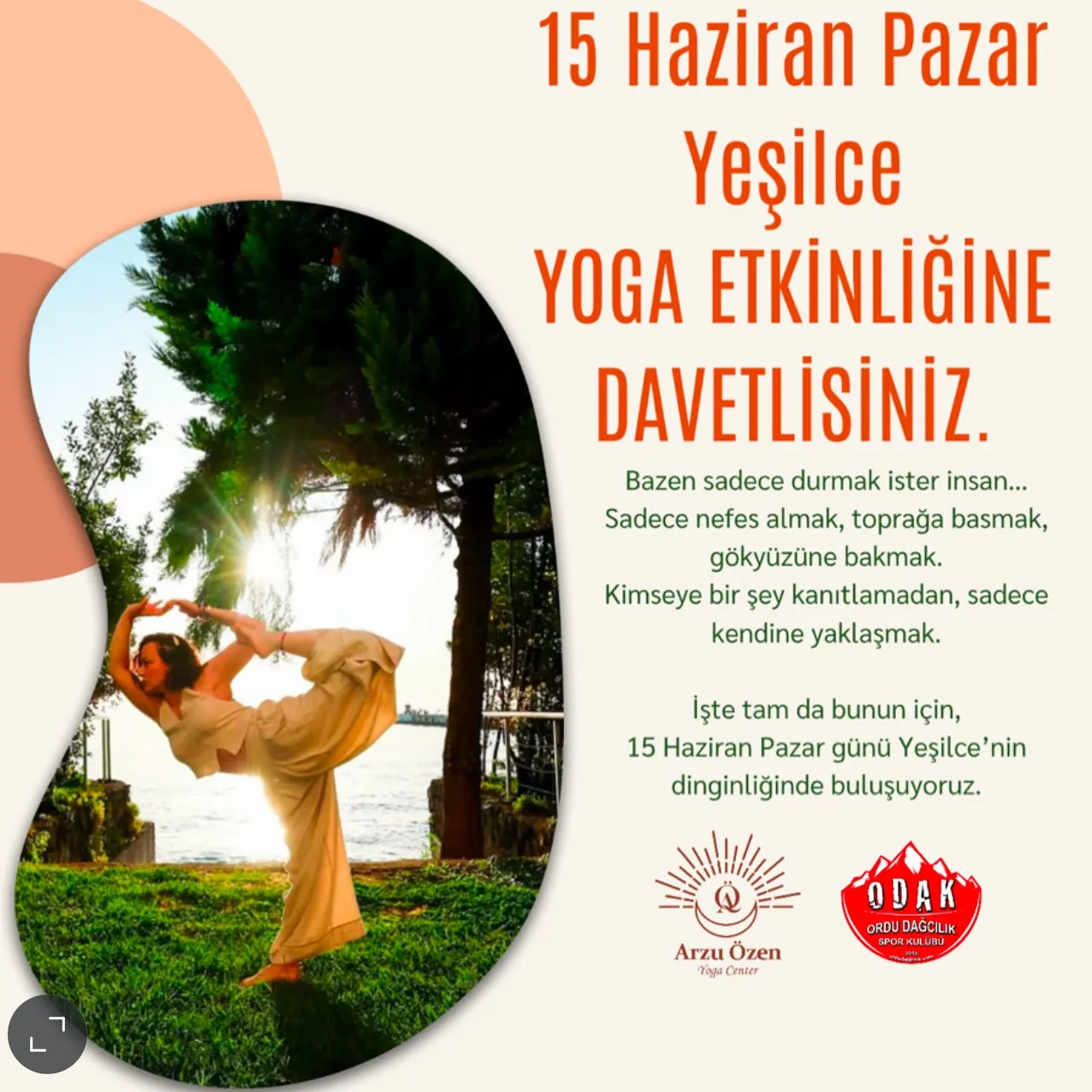 Yeşilin bin bir tonu, kuş görseli
